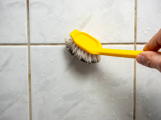 Mold Removal and Inspection in Ladoga, IN