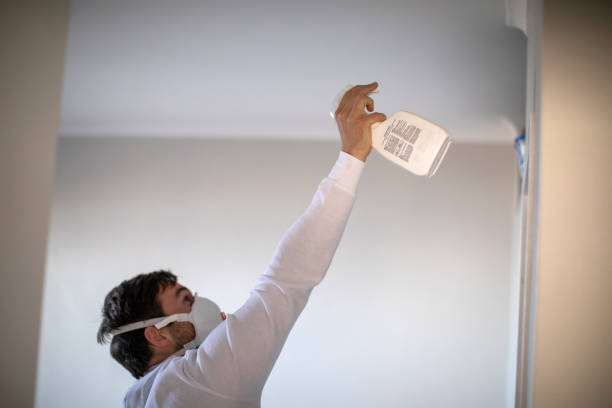 Best Local Mold Removal Service  in Ladoga, IN