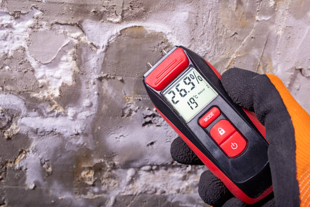 Best Best Mold Removal Companies  in Ladoga, IN