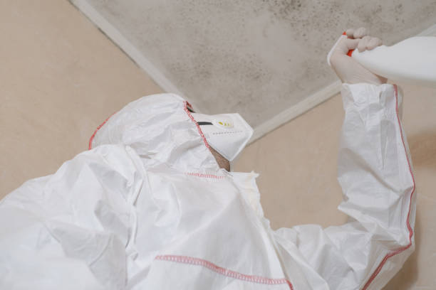 Best Commercial Mold Removal  in Ladoga, IN
