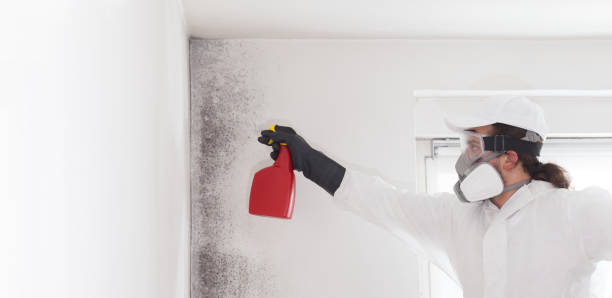 Best Professional Mold Removal  in Ladoga, IN