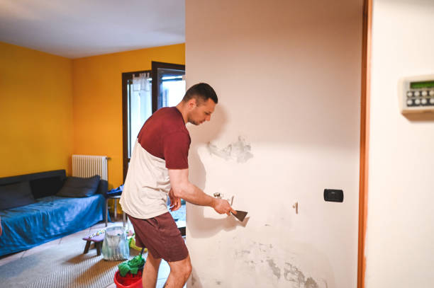 Best Black Mold Removal  in Ladoga, IN